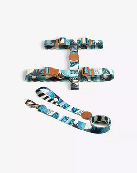 Conjunto Peitoral H e Guia Noronha